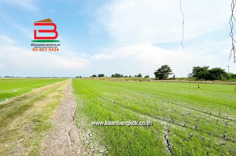 ที่ดินเปล่า เนื้อที่ 5 ไร่ คู้คลองสิบ แยก12 ถนนคู้คลองสิบ แขวงคลองสิบ เขตหนองจอก 4