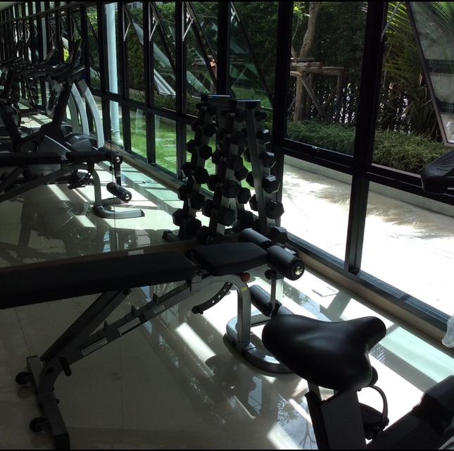 ให้เช่า เดอะ ไพรเวซี่ ประชาอุทิศ สุขสวัสดิ์ THE PRIVACY PRACHA UTHIT SUKSAWAT ขนาด 24 ตร.ม. ราคา 6,500 บาท 15