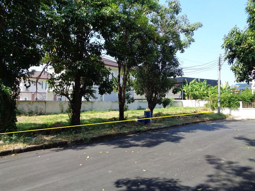 🚩 ขายที่ดินแปลงหัวมุม 129 ตารางวา ราคาถูกสุด❗ ทำเลดี ภายในโครงการหรูมีระดับ 13