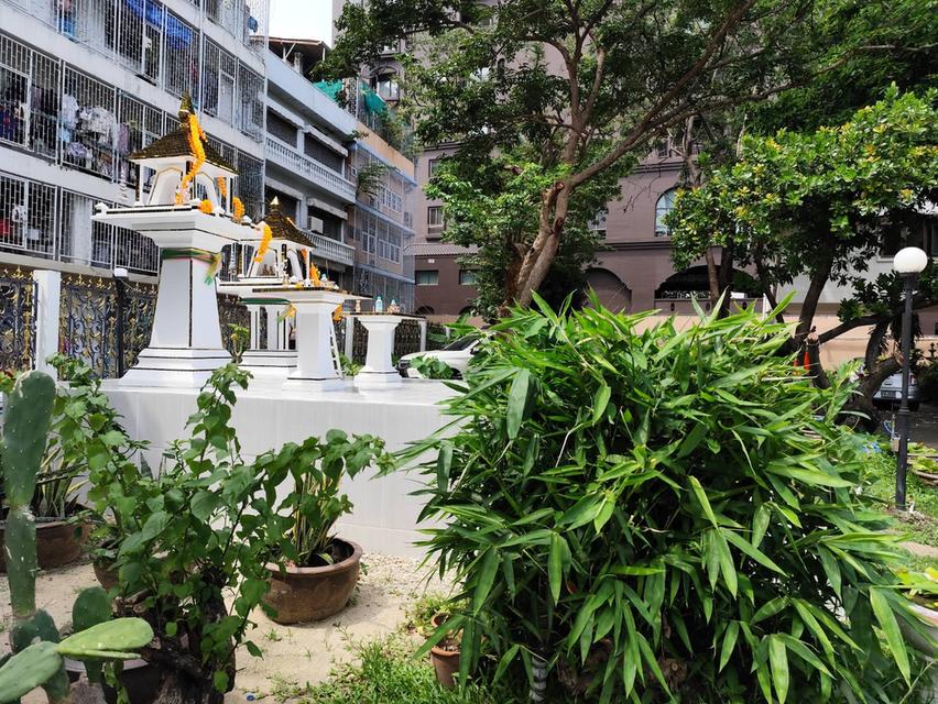 ขายที่ดินแปลงศักยภาพสูง สุขุมวิท 101  BTS ปุณณวิถี Land and old  house  for sale in a prime 5