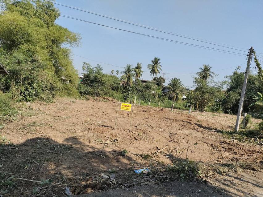 ขายที่ดินเปล่า ทำเลดี หน้าหลังติดคลองน้ำ  อำเภอเมืองพิจิตร จังหวัดพิจิตร 