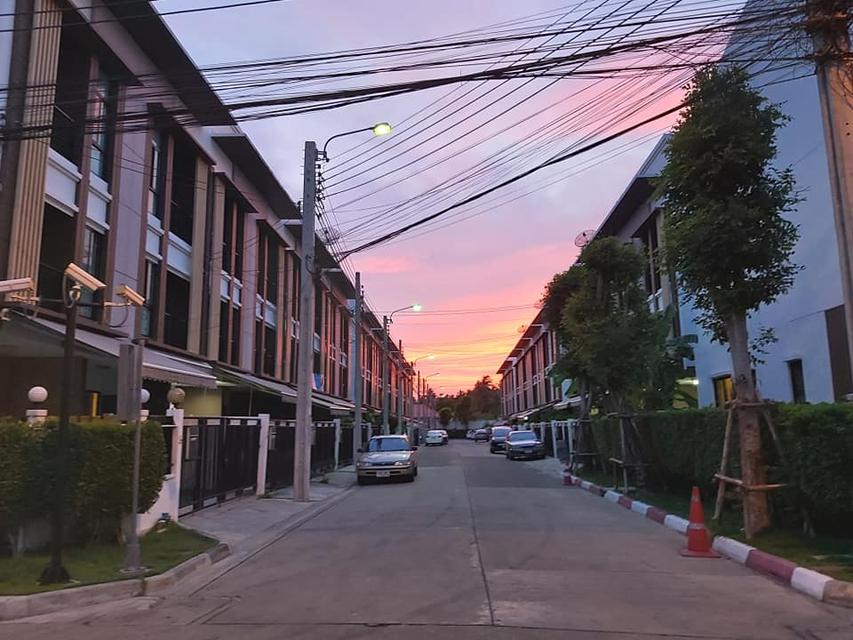 #ขายถูก!!! บ้านกลางเมือง กัลปพฤกษ์ ทาวน์โฮม 3 ชั้น (บิ้วอินทั้งหลัง พร้อมเข้าอยู่) บนทำเลใจกลางรถไฟฟ้า 2 สาย (BTS บางหว้า และ MRT สถานีบางแค) 13