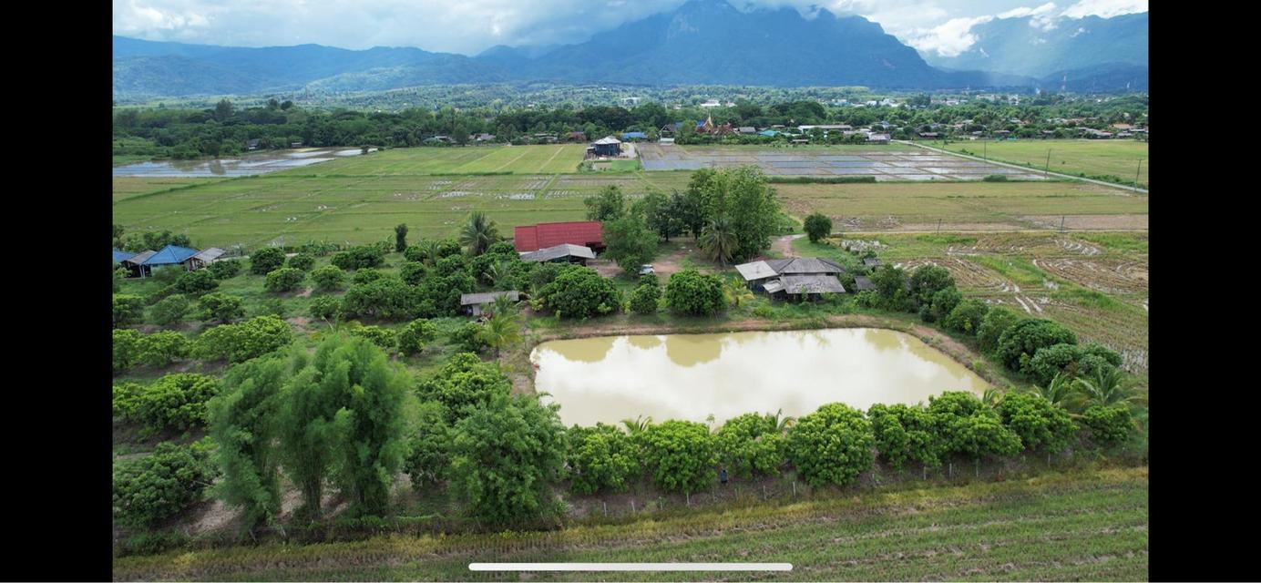 ที่ดินร้านอาหารปู๋หลงโต้ง เชียงดาว 1