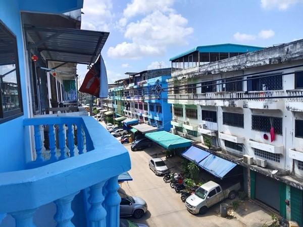 ขายอาคารพาณิชย์ 3.5 ชั้น หมู่บ้านดีเค ซอย 30 สภาพดี วิวหลังบ้านสวย เจ้าของขายเอง โทร 095-165-3654 14
