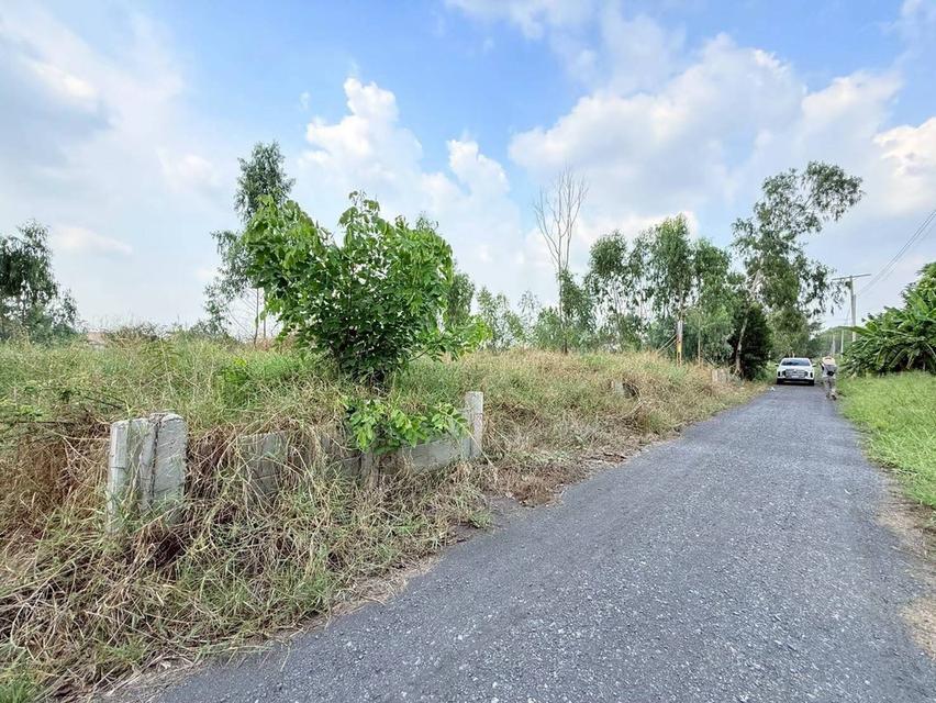 Vายที่ดินใกล้เวิร์คพอยท์ 218 ตารางวา ถมสูงทั้งแปลง ถนนเลียบคลองเปรม  อ.เมืองปทุมธานี จ.ปทุมธานี 2