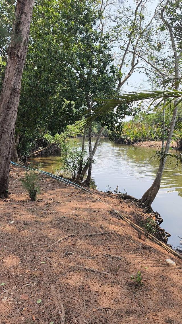 รีสอท จันทบุรี ท่าใหม่ 3