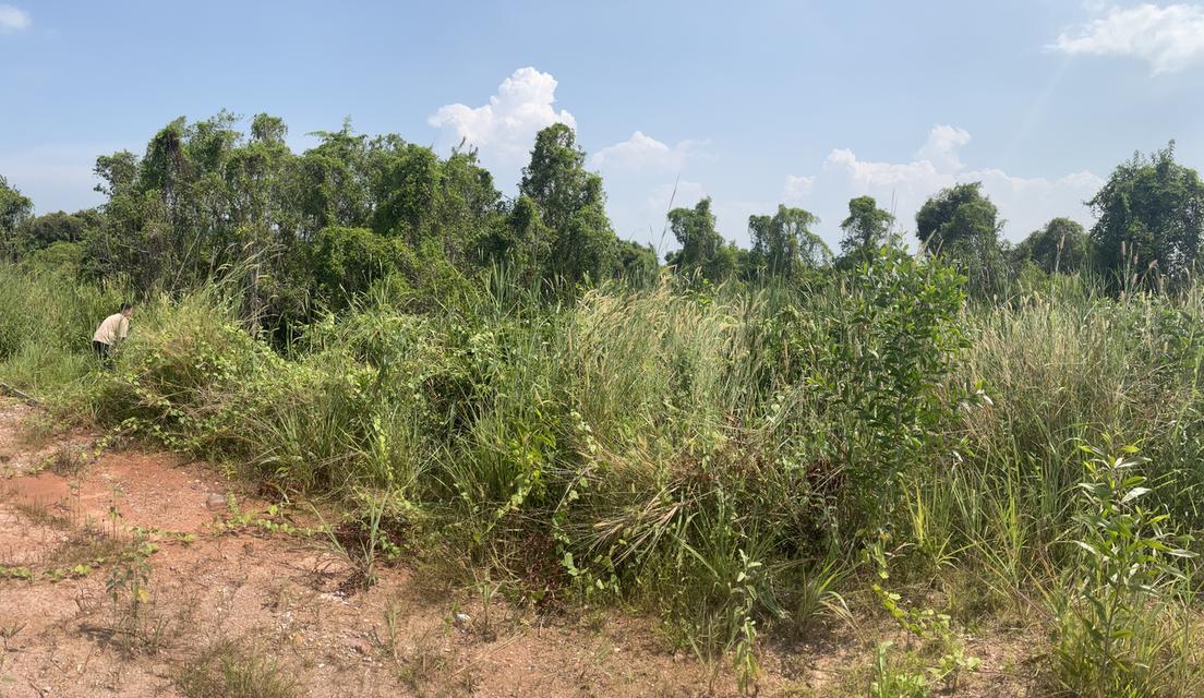 ที่ดิน 118 ตารางวา ใกล้ดาวนายร้อย สงขลา 2