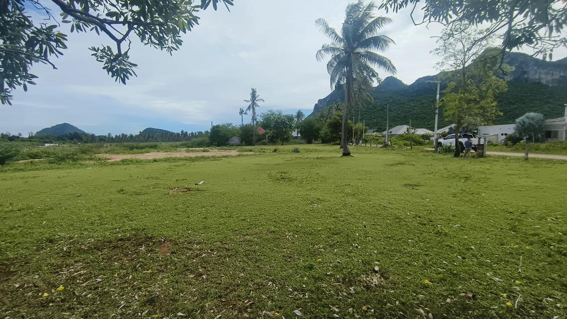 ขายด่วน ที่ดินในโครงการจัดสรร พื้นที่แหล่งท่องเที่ยว 4