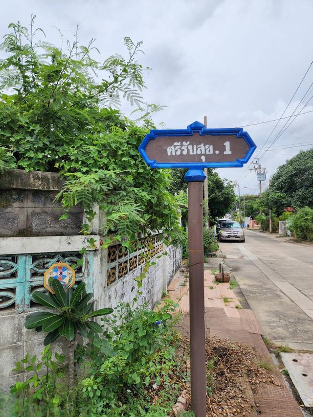 บ้านเดี่ยวชั้นเดียว 60 ตรว. ใจกลางเมือง ซอยวิภาวดี62 ราคาเพียง 5.xx ล้าน เท่านั้น 4