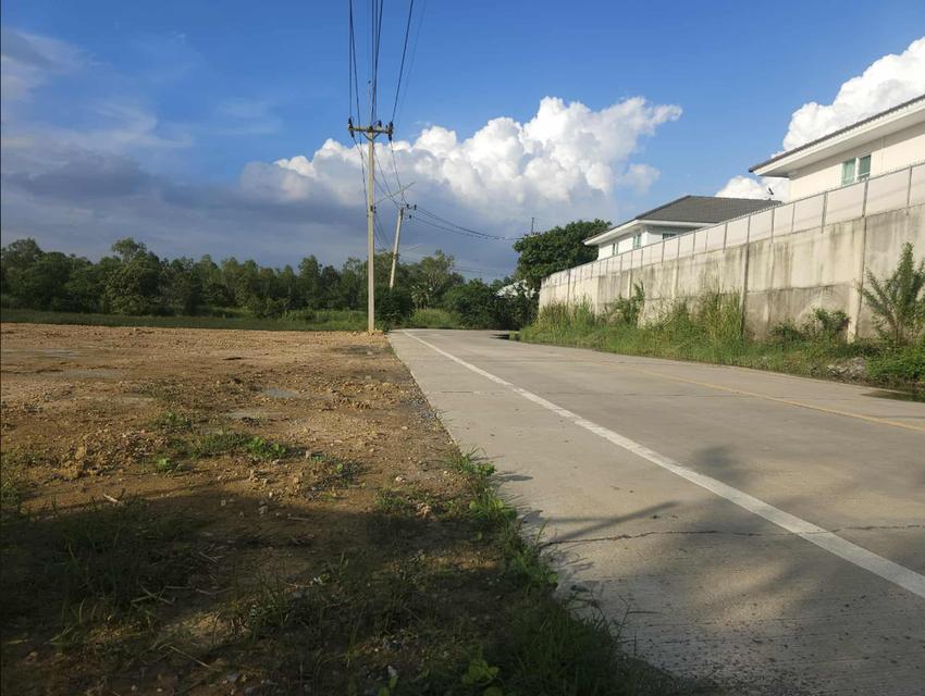 ที่ดิน 3