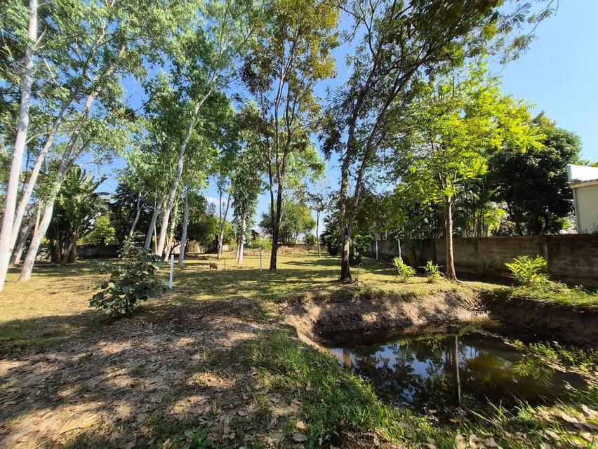 ที่ดิน ใกล้เชียงใหม่ไนท์ซาฟารี และ พืชสวนโลก จังหวัดเชียงใหม่ 4