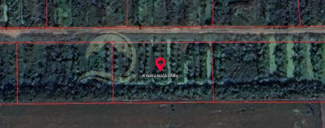 ขาย ที่ดินเปล่า 1-1-33 ไร่ ( 533 ตร.ว. ) ซ.บึงบอน 11 ถ.รังสิต-นครนายก  จ.ปทุมธานี  15