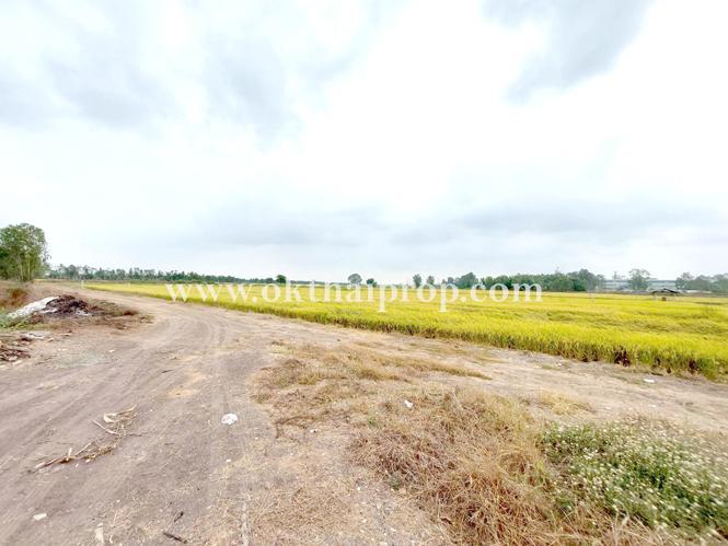 ที่ดิน ถนน3111 อ.บางไทร จ.อยุธยา