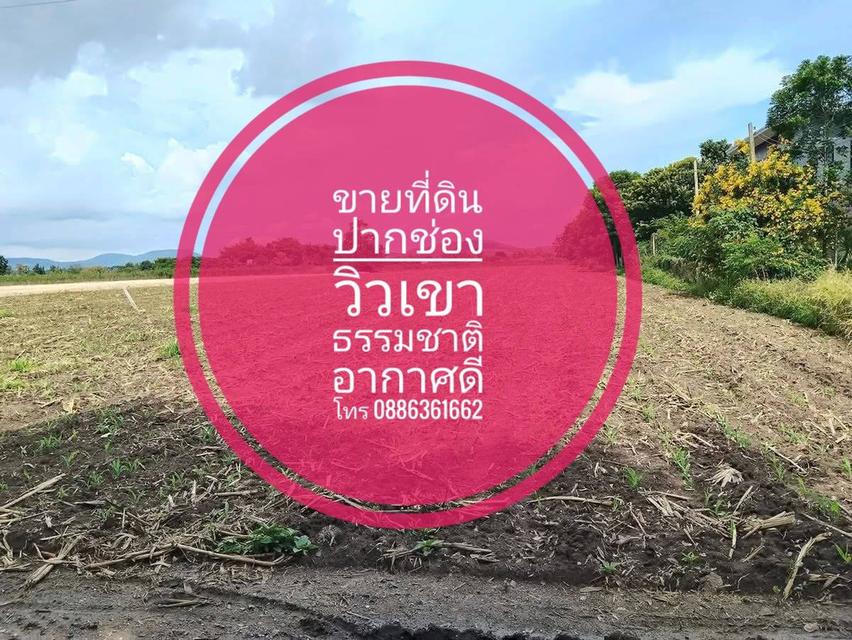 ขายที่ดิน วิวเขา ธรรมชาติ อากาศดี วิวเขา อ.ปากช่อง ใกล้ เขาใหญ่ 2ไร่กว่า 3.3 ลบ.