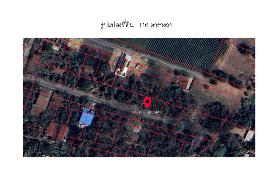 ขายด่วน‼️ ที่ดินโฉนด 116 ตร.ว. สันกำแพง เชียงใหม่ ใกล้วัดกอสะเลียม เจ้าของขายเอง ราคาถูกมาก 4