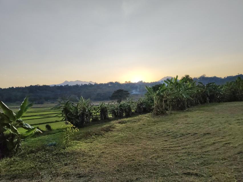 บ้านพร้อมที่ดิน ลำปาง 14