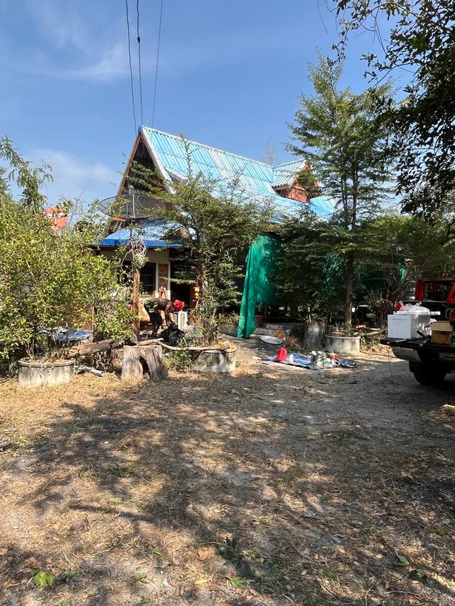 บ้านพร้อมที่ดิน 5 ไร่ 3 งาน ต.สระกระโจม สุพรรณบุรี 10