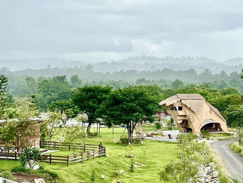 ขายรีสอร์ท ที่ วังน้ำเขียว  14ไร่  บนถนน 3060 เส้นไปปากช่อง ระเริง 27 ล้าน บาท 14