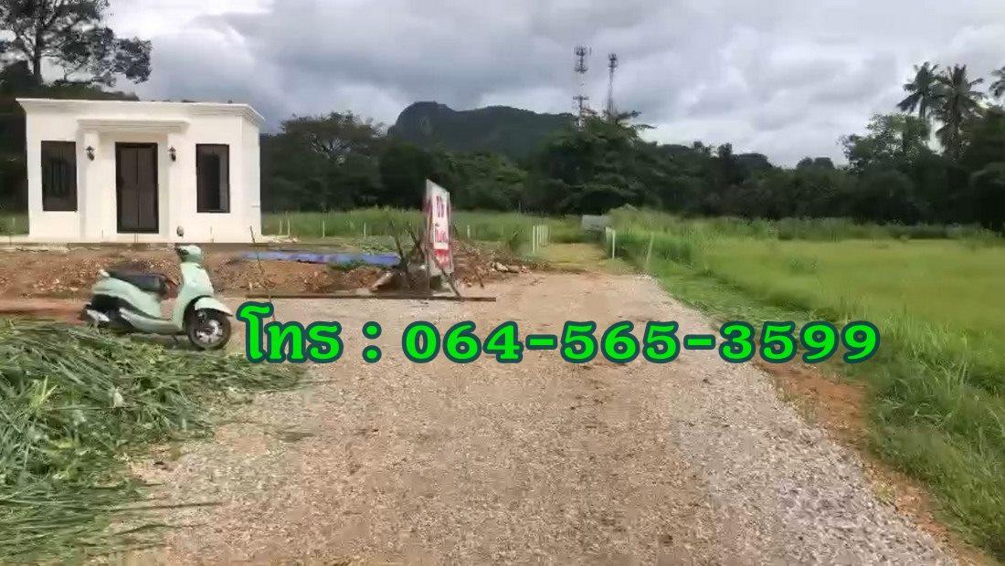 ขายที่ดินใกล้เขาใหญ่ 432 ตร.วา ใกล้ถนนธนะรัชต์ ตำบลหมูสี ปากช่อง นครราชสีมา 3 นาที ถึงทางขึ้นเขาใหญ่ 4