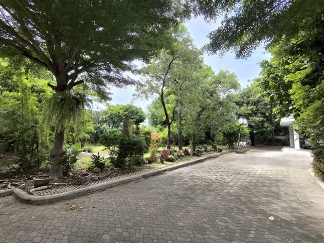 ขายด่วนบ้านพร้อมที่ดินผืนใหญ่ใจกลางเมืองปากน้ำ ใกล้ BTS เพียง 290 เมตร 3