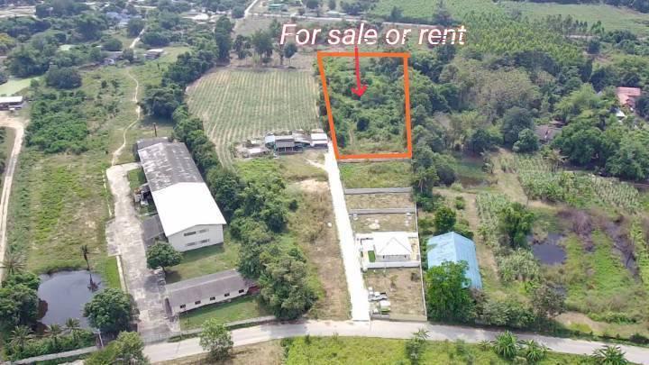 ขายที่ดินเปล่า​ชลบุรี, Land​ for sale, Thailand 3