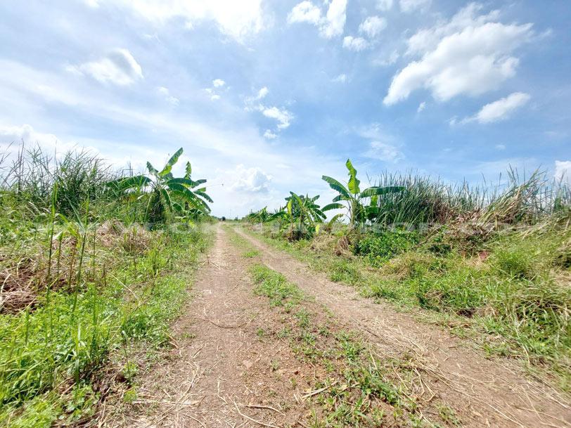 ที่ดินจัดสรรล็อคที่ 19 ถ.346 ต.หน้าไม้ อ.ลาดหลุมแก้ว จ.ปทุมธานี 6