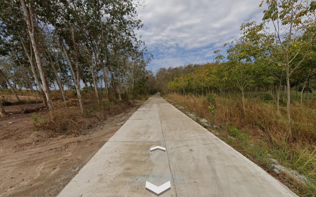 ขาย ที่ดินอุตสาหกรรม 134 ไร่ พร้อมใบอนุญาต รง.4 โซน EEC จังหวัดระยอง 3