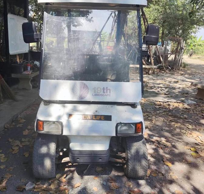 2024 Ezgo