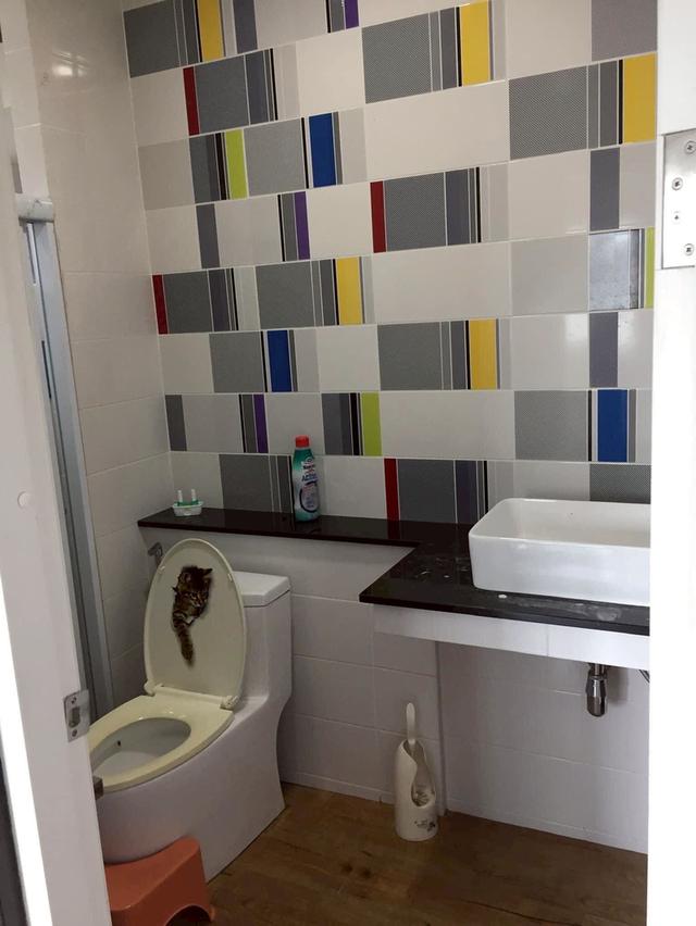 ขายบ้านแสนราญโมดชิด เชียงใใหม่ 12