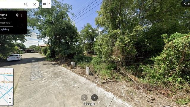 ขายที่ดิน 50 ตรว อำเภอหางดง จ.เชียงใหม่ แยกเส้นบ้านถวายออกมาประมาณ 300 เมตร ที่ดิน ผ่อนตรงเจ้าของ 6