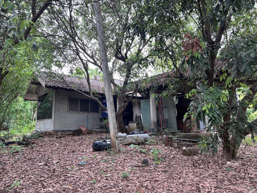 ที่ดิน 23 ไร่ อำเภอ แม่ทะ จังหวัด ลำปาง 19