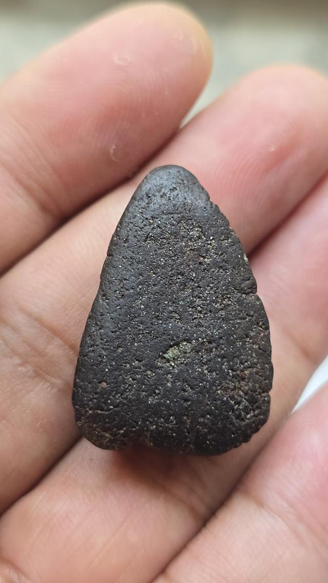 หลวงพ่อทวดเนื้อว่าน ปี 2497 พิมพ์กลางอกแฟบ(หน้ากลม) รูปที่ 8