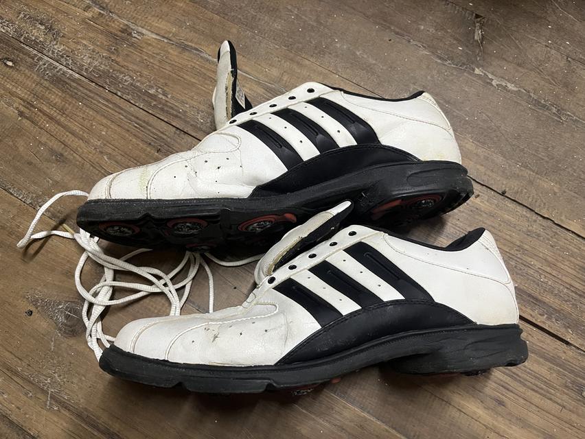 รองเท้ากอล์ฟ adidas แท้