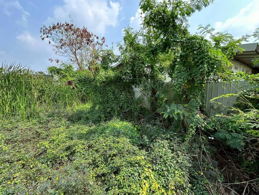 ที่ดินเปล่า เนื้อที่ 119 ตร.ว. ถนนฉลองกรุง แขวงลำปลาทิว เขตลาดกระบัง กรุงเทพมหานคร 3