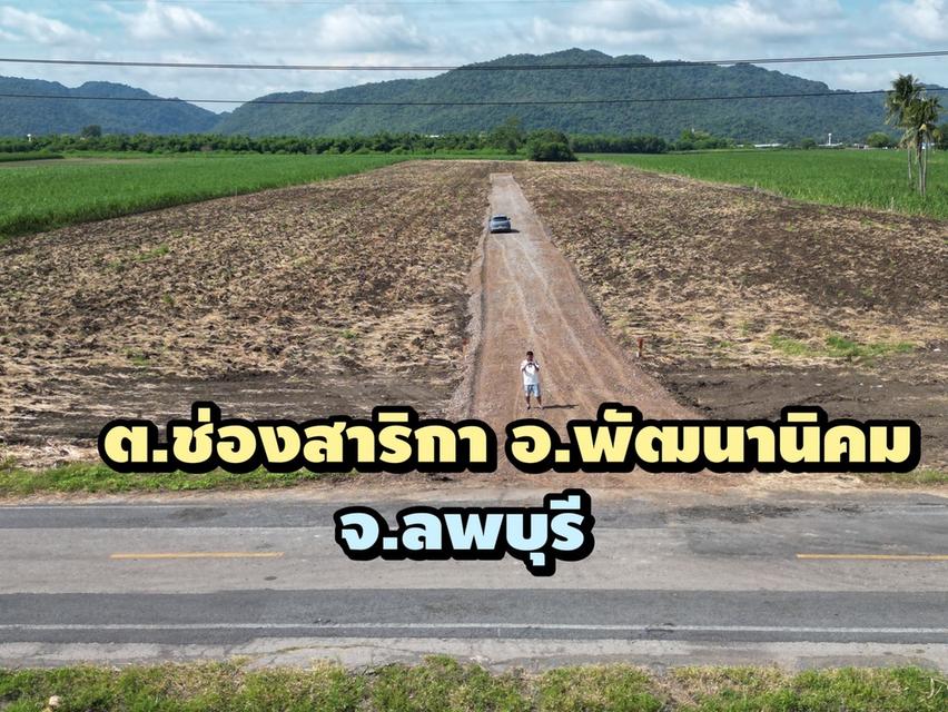 ที่ดินแบ่งขาย ต.ช่องสาริกา อ.พัฒนานิคม จ.ลพบุรี 5