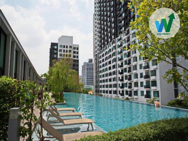 āļāļēāļĒāļāļđāļāļĄāļēāļāļāļāļāđāļāļāļąāđāļāļŠāļđāļāļŠāļļāļāđāļāļāļĨāļēāļāđāļĄāļ·āļāļāļĢāļēāļĄāļāļģāđāļŦāļ āļāļīāļ§āļŠāđāđāļĄāđāļāļĩāļĒāļŠ āļāļąāđāļ 30 āļŦāđāļāļāļĄāļļāļĄ āļ§āļīāļ§āļĄāļāļāđāļŦāđāļāļāļķāļāđāļāļŦāļĒāļ 8