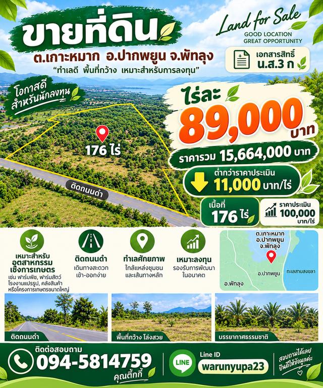 ที่ดินเกาะหมาก อำเภอ ปากพะยูน จังหวัด พัทลุง 1