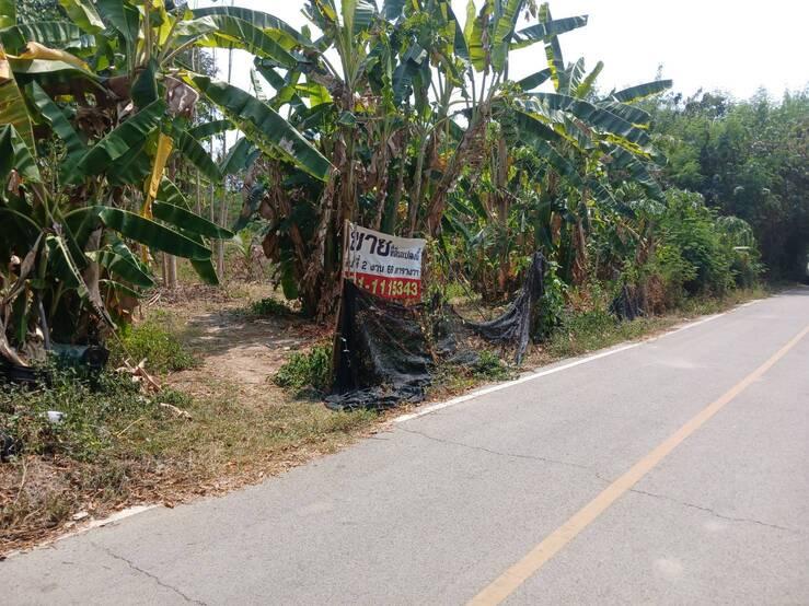 ขายที่ดิน เมืองเชียงใหม่ ตรว ล่ะ 15000 บาท สนใจติดต่อ 0811115343 5