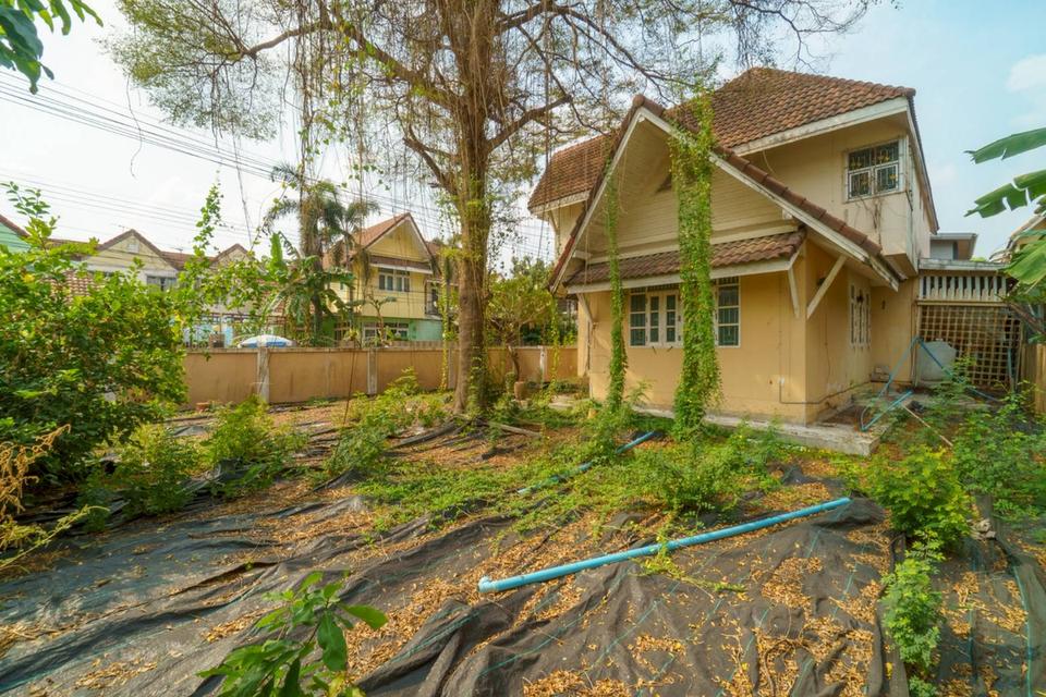 ขายบ้านเดี่ยว ลำลูกกา คลอง 4 ราคาต่ำกว่าประเมิน | เจ้าของขายเอง | พร้อมโอน ขายบ้านเดี่ยว 2 ชั้น 2