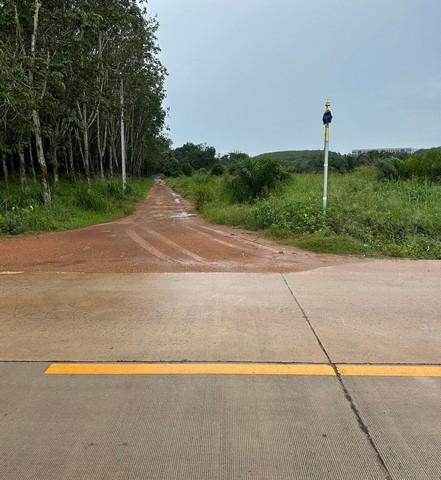 ให้เช่าที่ดินและขายที่ดินหนองใหญ่ชลบุรี 150 ไร่ พื้นที่สีม่วงลาย (ประมาณ 100 ไร่) พื้นที่สีเหลือง (ประมาณ 50 ไร่) 8