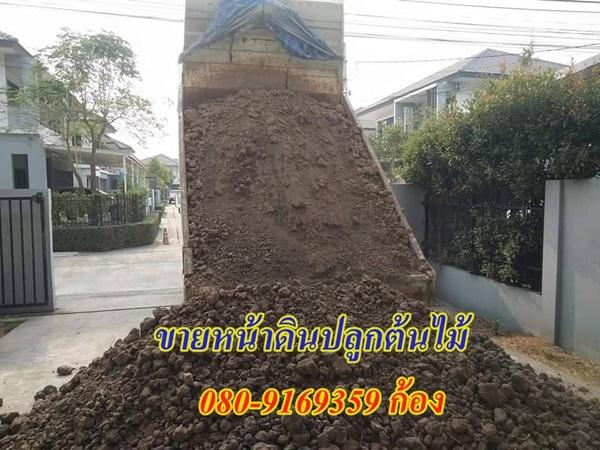 ขายหน้าดินนนทบุรี ดินปลูกต้นไม้ ทรายถม ทรายหยาบ หินคลุก080-9169359 4