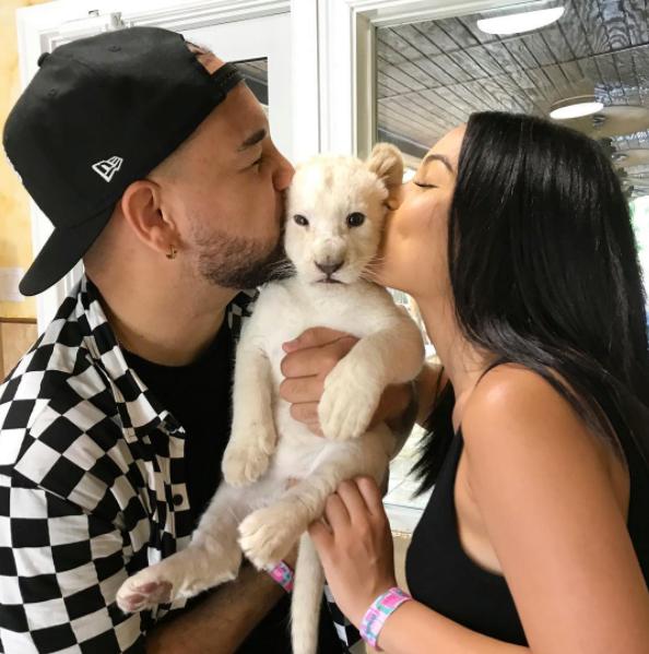 White Lion Cubs for sale