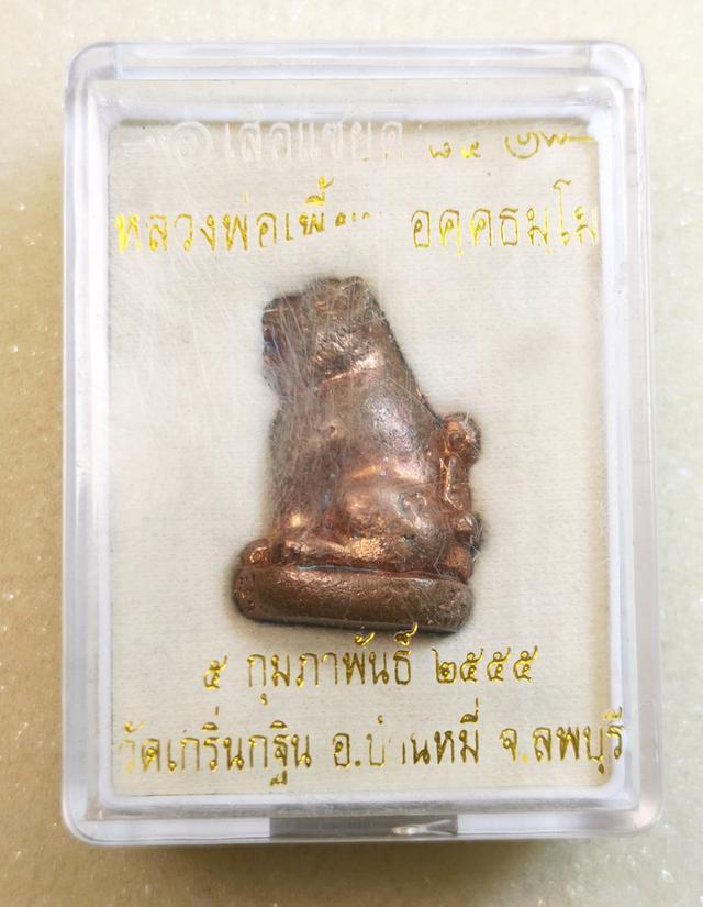 เสือแซยิด 85 หลวงพ่อเพี้ยน เนื้อสัมฤทธิ์เดช ปี 2555 วัดเกริ่นกฐิน ลพบุรี 5