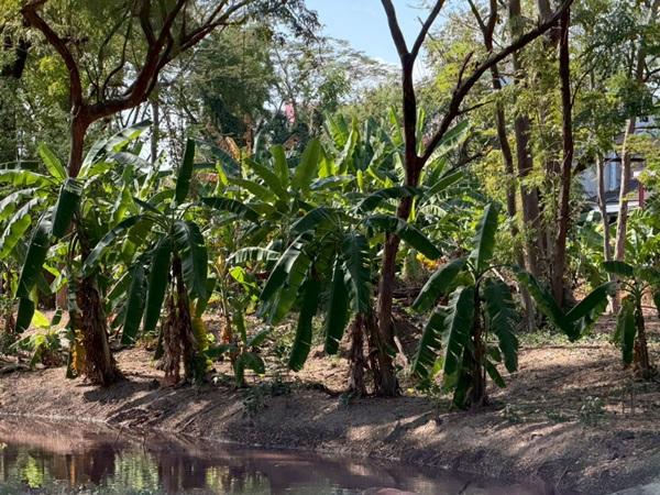 ขายที่ดินพหลโยธิน 35 แยก 19 ซอยสังข์ทอง 9 (พื้นที่สีส้ม) เนื้อที่ 6‑0‑69 ไร่ ใกล้เมเจอร์รัชโยธิน โทร 090-6360022 7