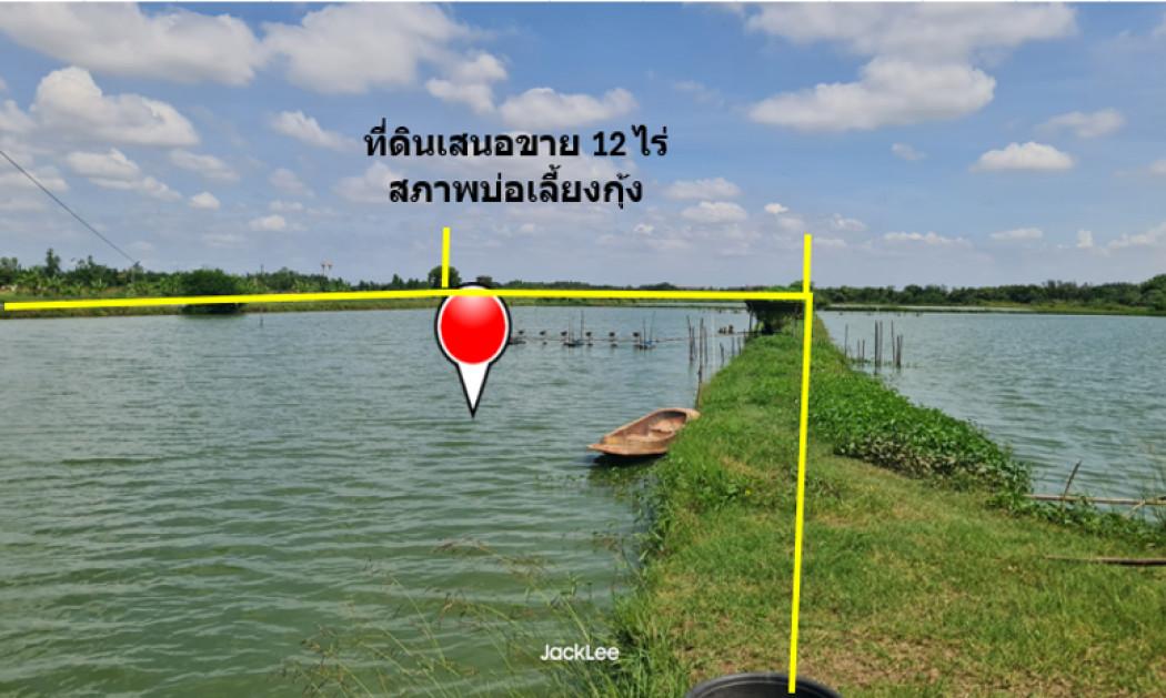 ขาย ที่ดิน แปลงสวย ติดถนนเลียบคลองจางวาง ใกล้แม่น้ำบางปะกง อ.บ้านโพธิ์ 12 ไร่ ติดโครงการบางปะกงริเวอร์ไซด์ พร้อมโอน  ฟรี 1