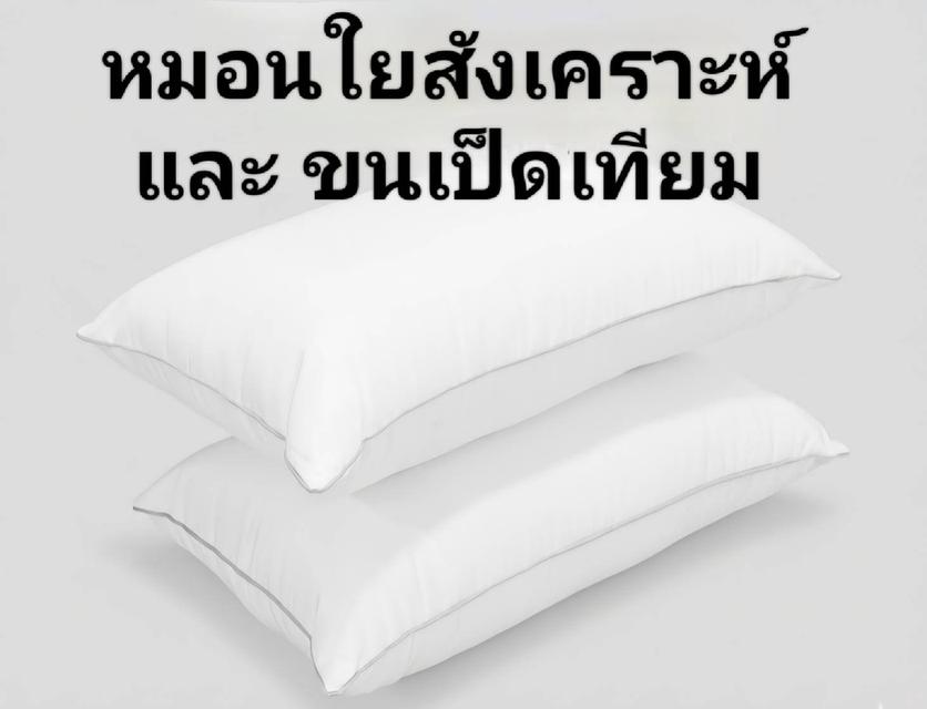 สินค้าสำหรับโรงแรมและรีสอร์ท