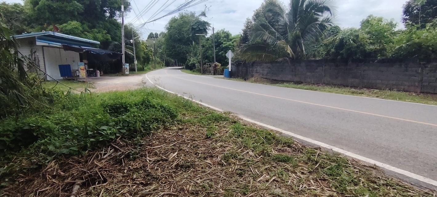 ที่ดินสวนผสม 200 ตรว. 8