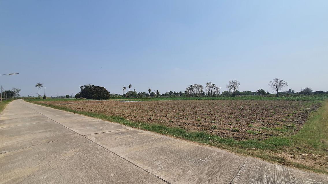 ฮวงจุ้ยดี ทำเลเยี่ยม ที่สวย ราคาถูก ติดทาง 3 ด้าน ติดคลองชลประทานใหญ่ ที่ดินสูง