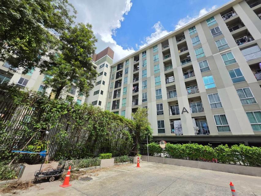 ขายพลัมคอนโด โชคชัย4 ( Plum Condo Chokchai 4 ) 2