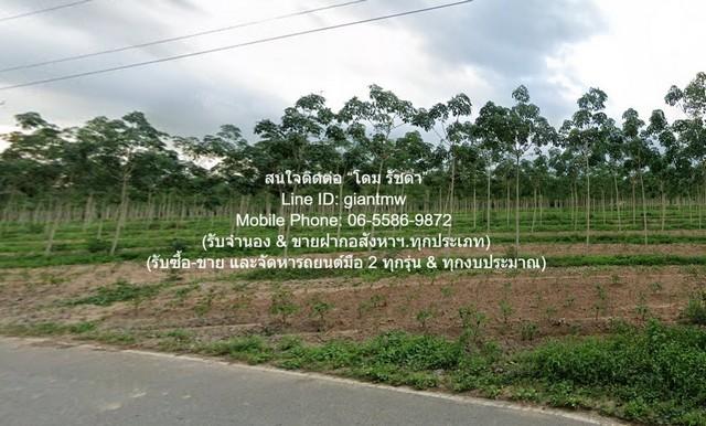 พื้นที่ดิน ขายที่ดินสวนยางพาราแปลงใหญ่ 326-3-5.5 ไร่ (ใกล้ ถ.ชลบุรี-แกลง) ต.เขาซก อ.หนองใหญ่ จ.ชลบุรี ราคา 327 ล้านบาท (